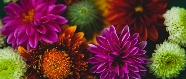 起和他的比 起和他的比