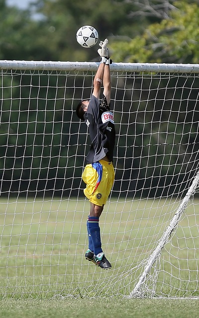 肌肉问题引 肌肉问题引