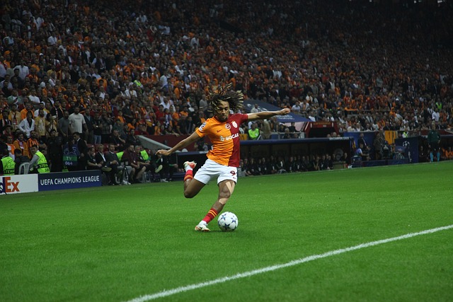 頂級運動員 頂級運動員