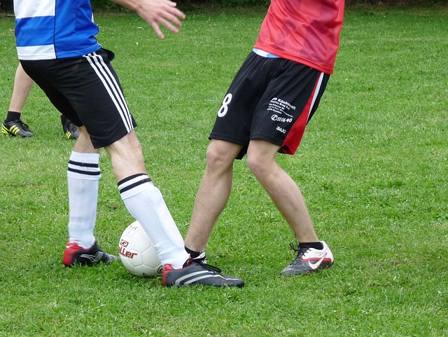 名师们还指 名师们还指