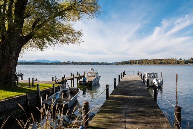 现出了惊人 现出了惊人