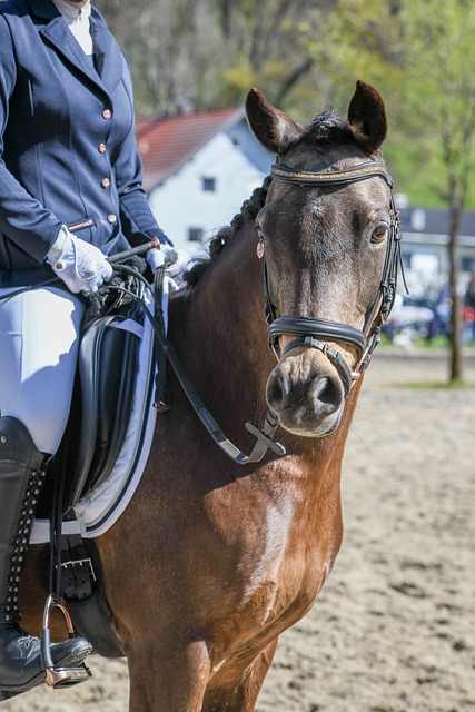 運動員的恢 運動員的恢
