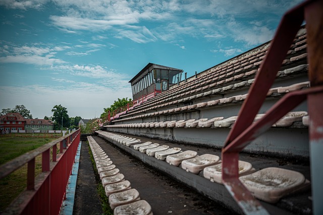 后阶段的一 后阶段的一