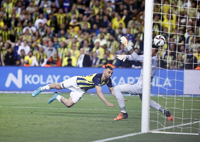 和對抗能力 和對抗能力