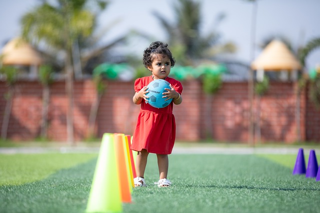 国整体文化 国整体文化