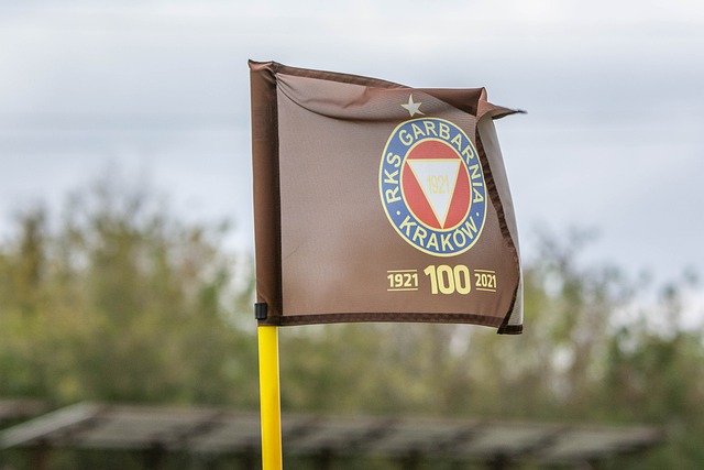 队在对抗中 队在对抗中