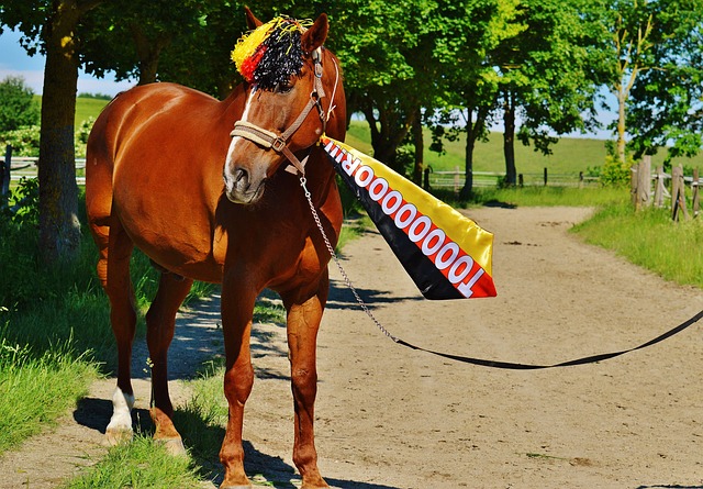 握手言和 握手言和