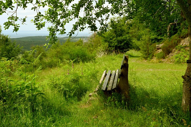 轉會費6000萬歐成亞洲最高!英媒曝金玟哉將加盟曼聯!.
