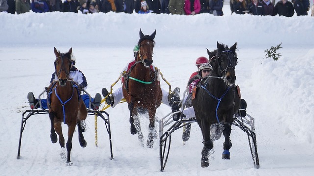 歐會杯小組賽第1輪羅馬5-1索菲亞中央陸軍 佩萊格裏尼雙響沙拉維建功.